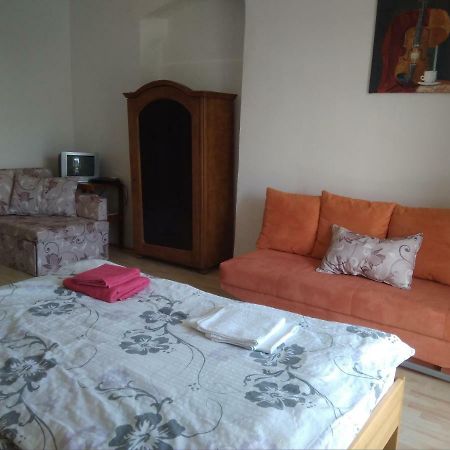 Apartamento Dvůr v Borovné Borovná Exterior foto