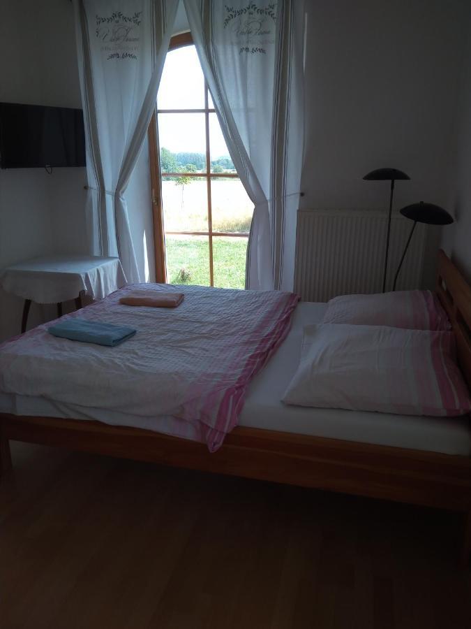 Apartamento Dvůr v Borovné Borovná Exterior foto