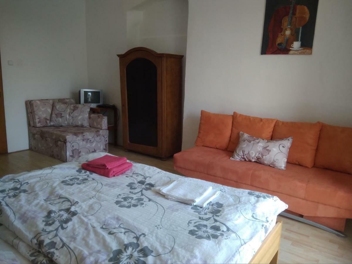 Apartamento Dvůr v Borovné Borovná Exterior foto